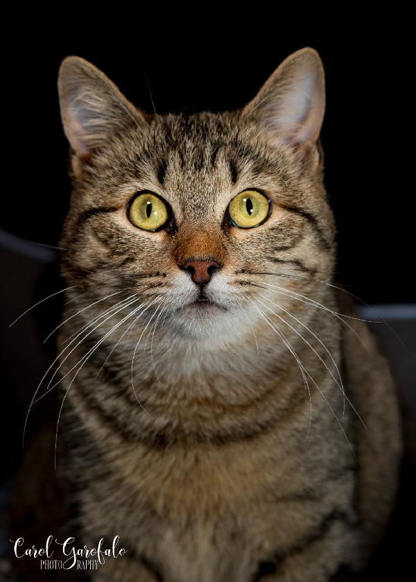 Ursula Miciona Buona 